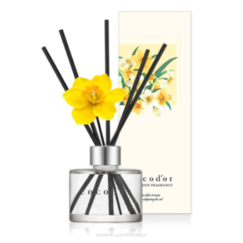 Dyfuzor zapachowy Daffodil 120ml English Pearfree PDI30933